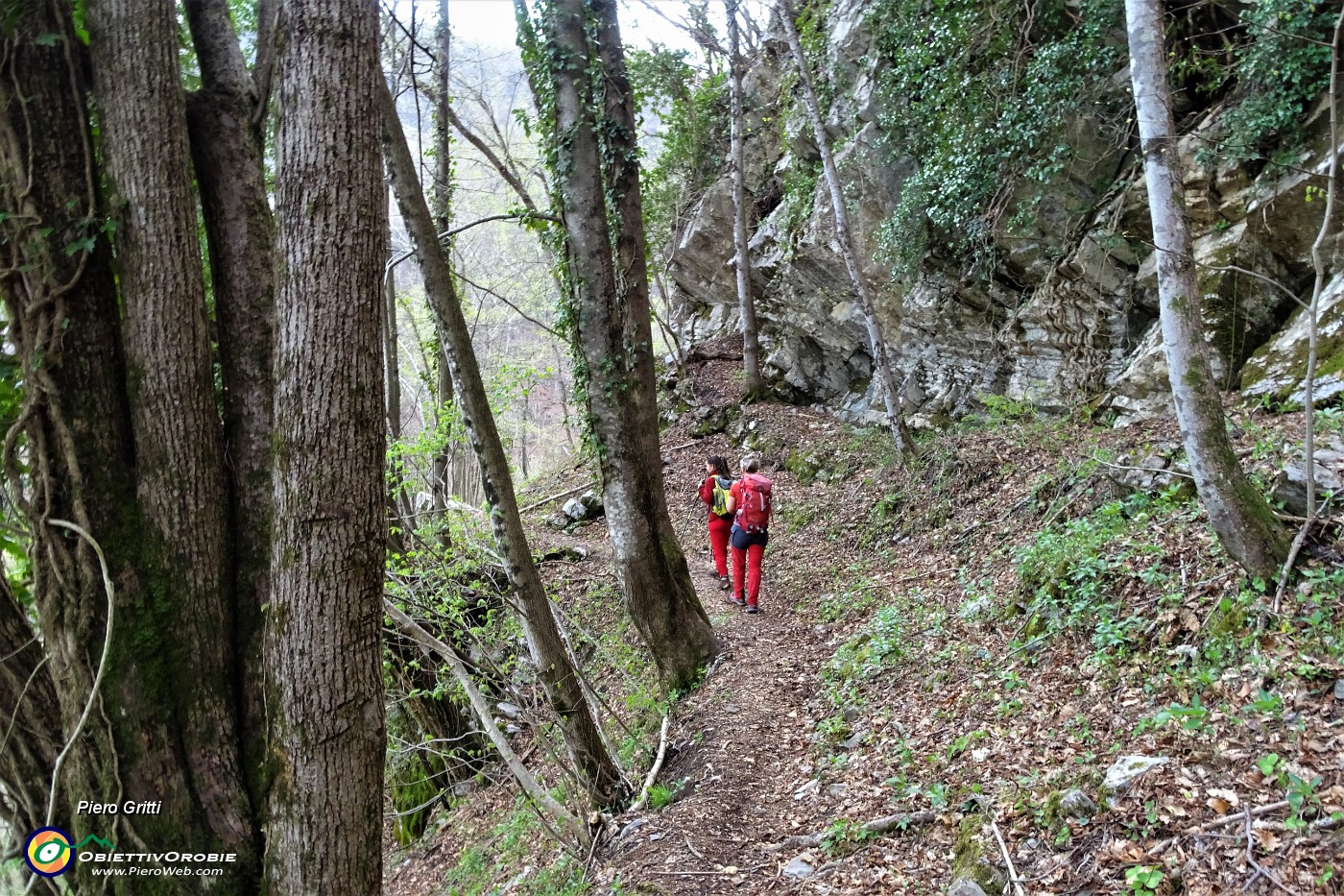24 Scendendo nel bosco 'Passione' con rocce inclinate da stratificazioni geologiche .JPG